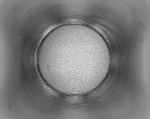 X0000112491474200908311421