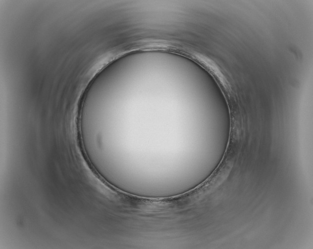 X0000112491475200908311421