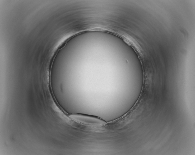 X0000112491476200908311421