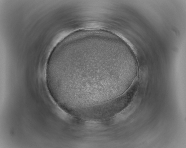 X0000112491477200908311421