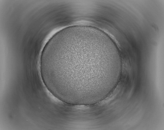 X0000112491478200908311421