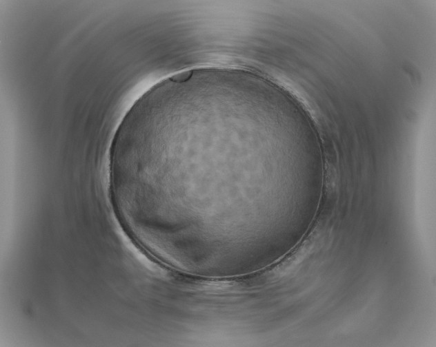 X0000112491479200908311421