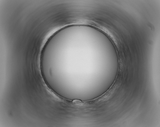 X0000112491480200908311421