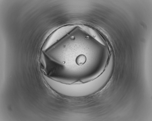 X0000112491481200908311421