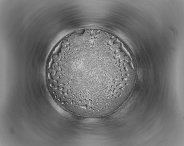 X0000112491482200908311421