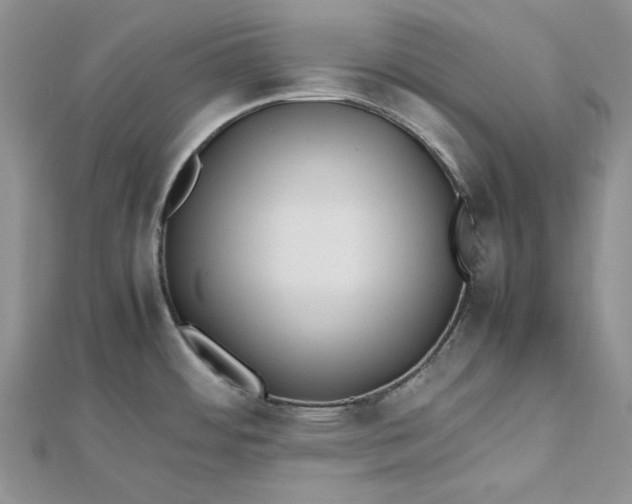 X0000112491484200908311421