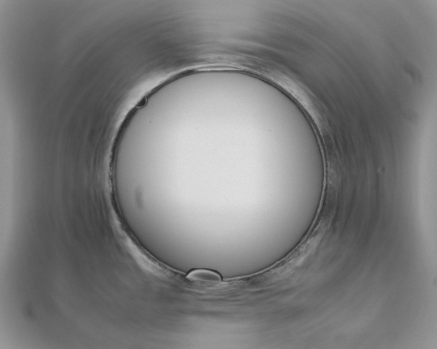 X0000112491485200908311421