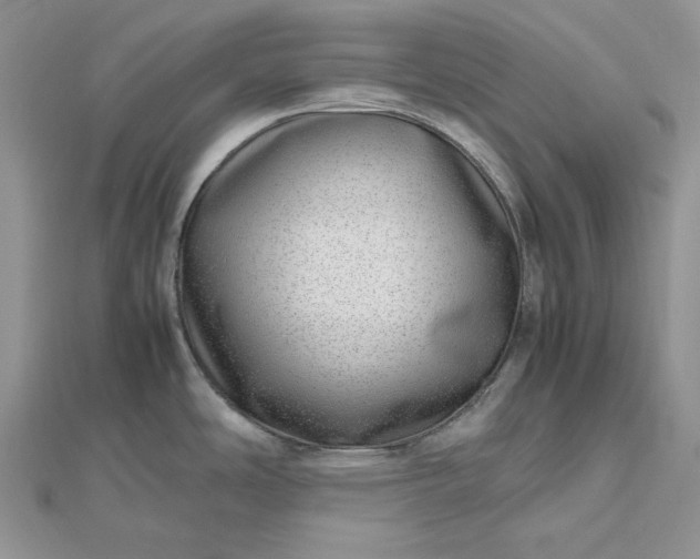 X0000112491486200908311421