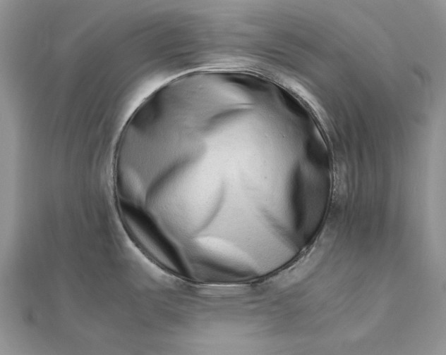 X0000112491487200908311421