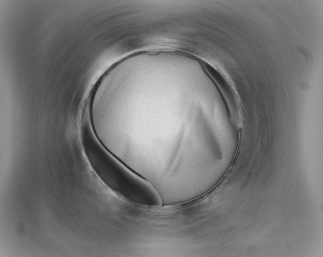 X0000112491488200908311421