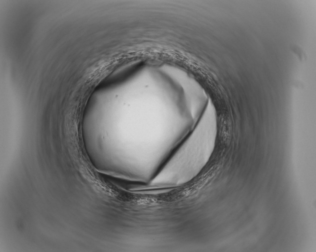 X0000112491489200908311421