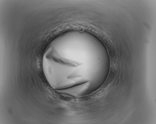 X0000112491490200908311421