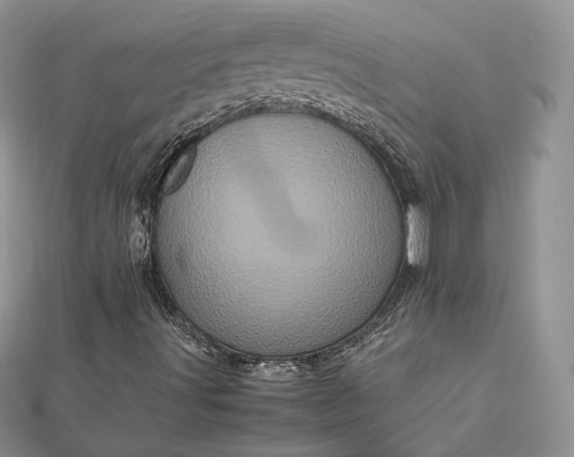 X0000112491491200908311421