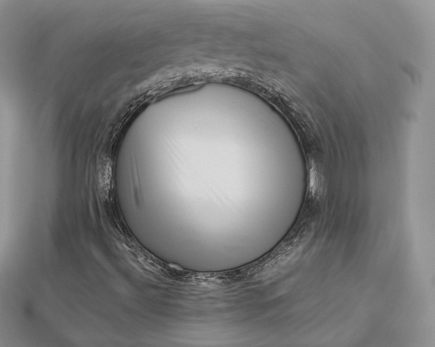 X0000112491492200908311421