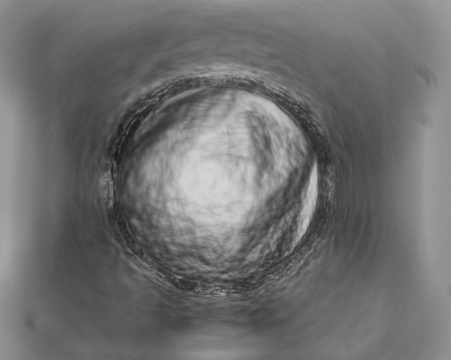 X0000112491493200908311421