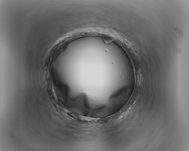 X0000112491494200908311421