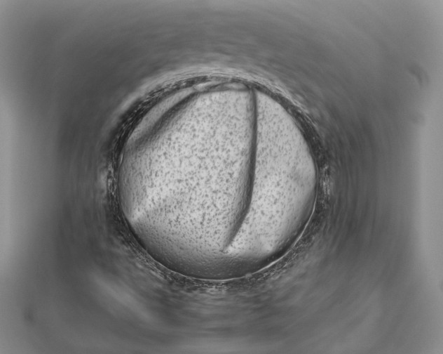 X0000112491495200908311421