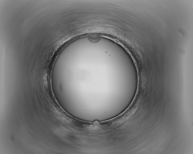 X0000112491497200908311421