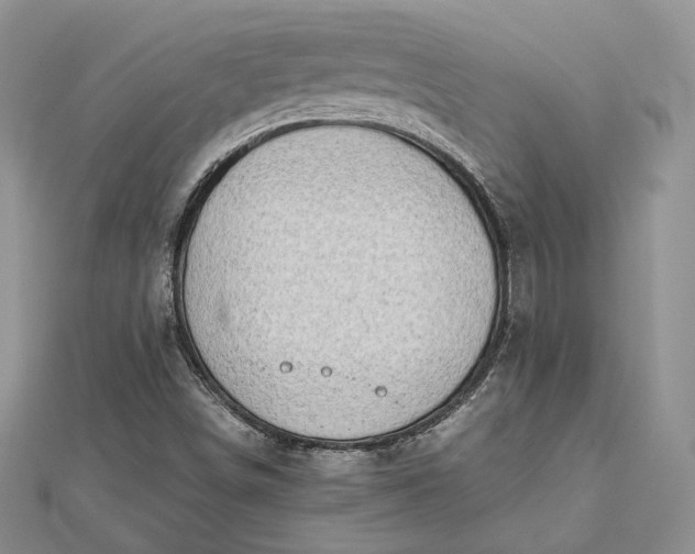 X0000112491498200908311421