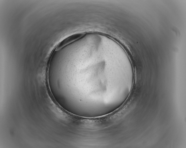 X0000112491500200908311421