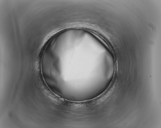 X0000112491501200908311421