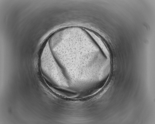 X0000112491502200908311421