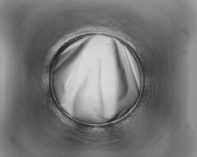 X0000112491503200908311421