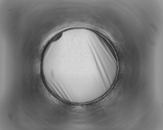 X0000112491504200908311421