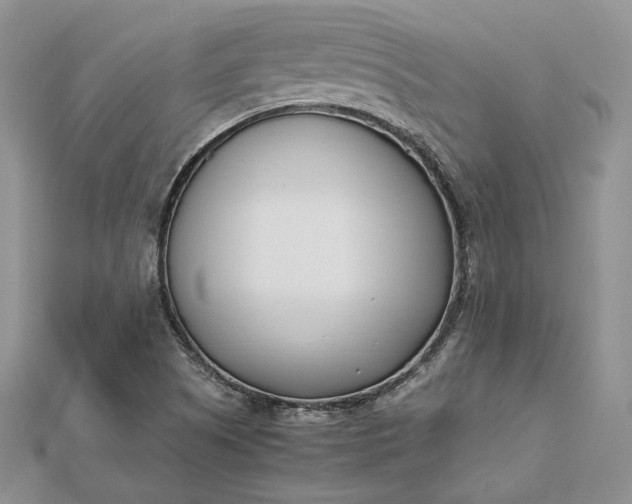 X0000112491505200908311421