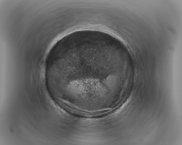 X0000112491506200908311421