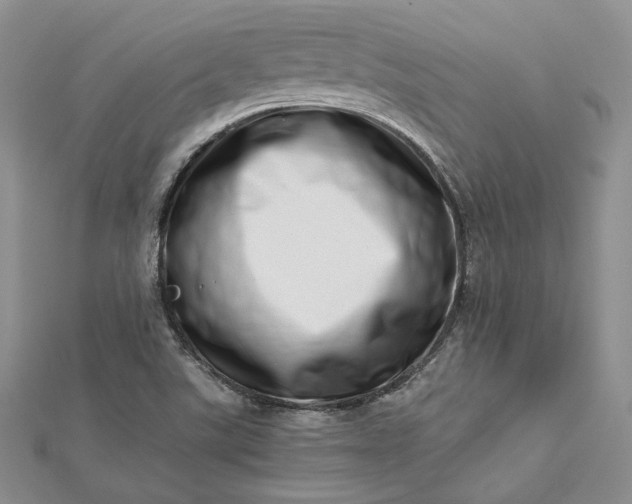 X0000112491507200908311421