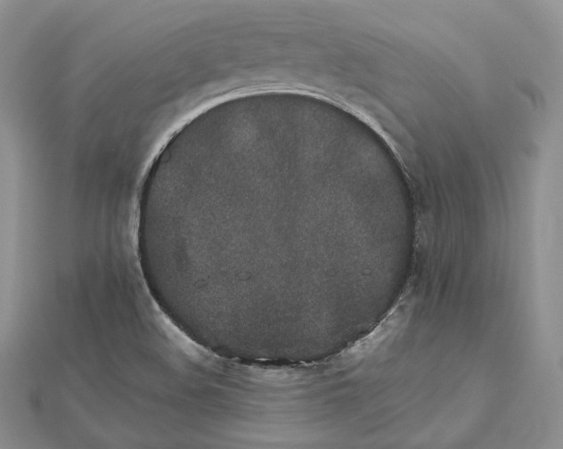 X0000112491508200908311421