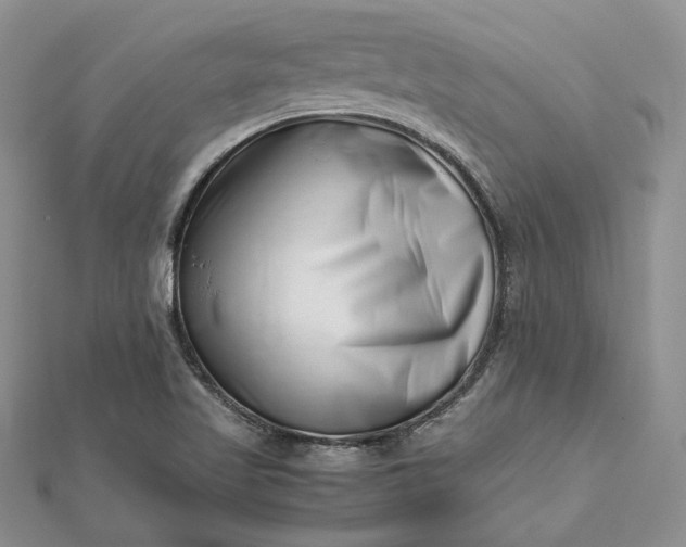 X0000112491509200908311421