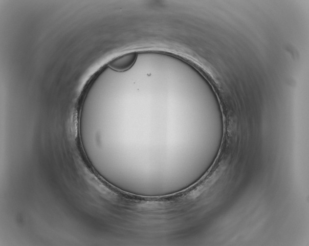 X0000112491510200908311421