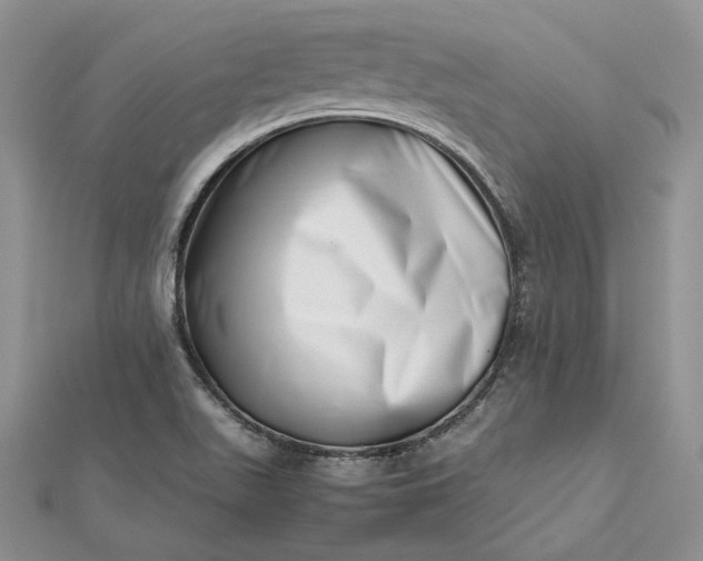 X0000112491511200908311421