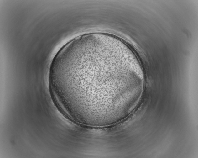 X0000112491512200908311421