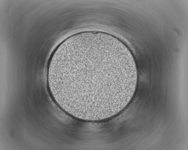 X0000112491514200908311421