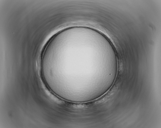 X0000112491515200908311421