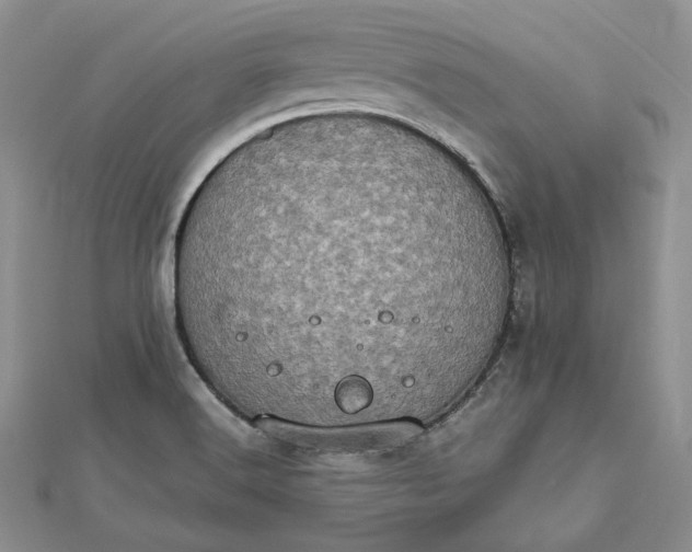 X0000112491516200908311421