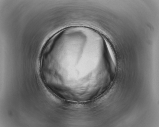 X0000112491517200908311421