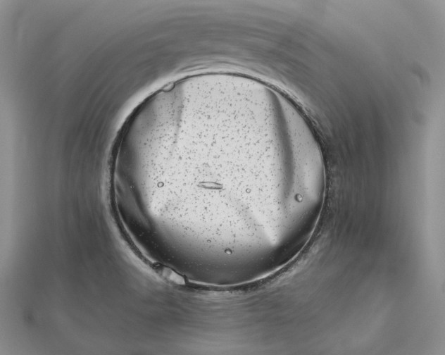 X0000112491518200908311421