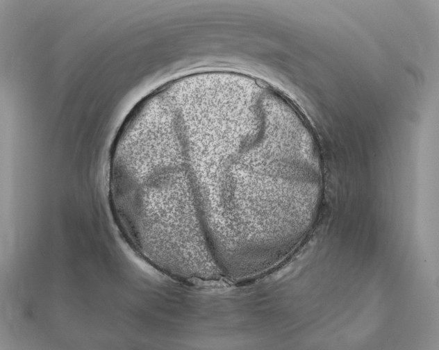 X0000112491519200908311421