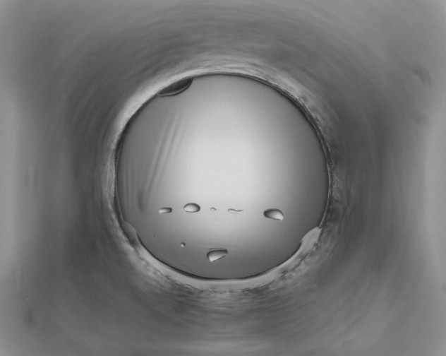 X0000112491520200908311421