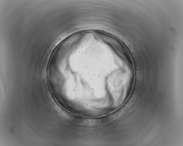 X0000112491521200908311421