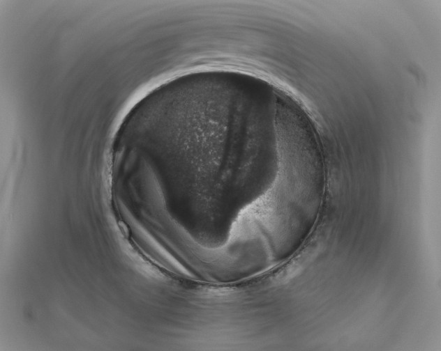 X0000112491522200908311421