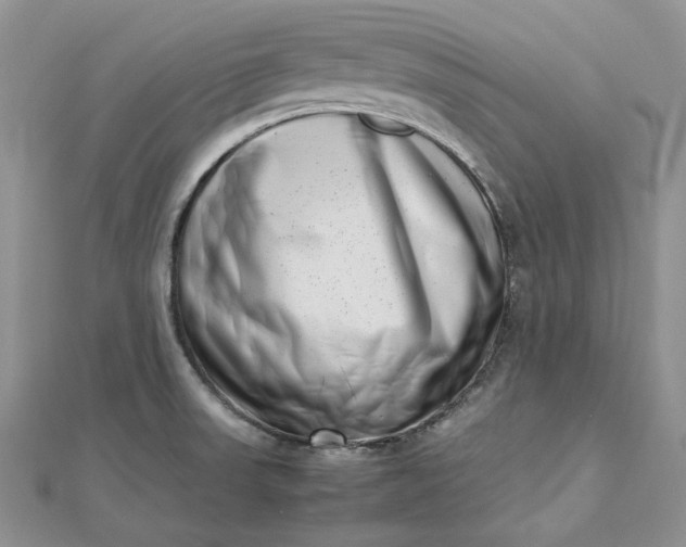 X0000112491523200908311421