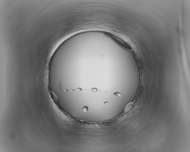 X0000112491524200908311421