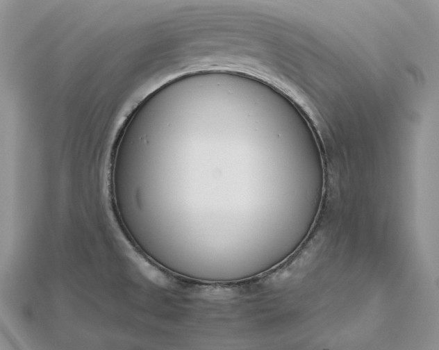 X0000112491525200908311421