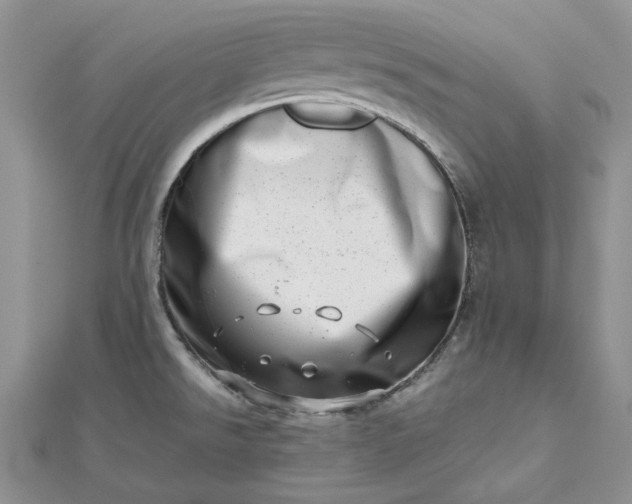 X0000112491526200908311421