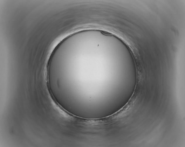 X0000112491527200908311421